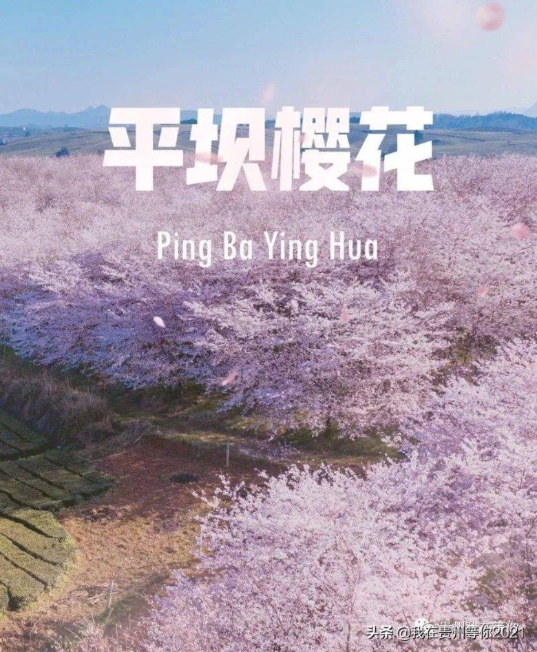 流浪法师怎么连招-疑问百科,探索您的无限好奇心
